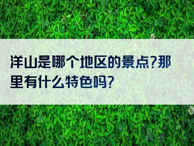 洋山是哪个地区的景点？那里有什么特色吗？