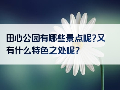 田心公园有哪些景点呢？又有什么特色之处呢？