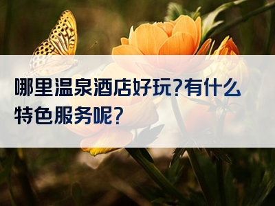 哪里温泉酒店好玩？有什么特色服务呢？