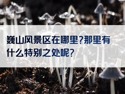 巍山风景区在哪里？那里有什么特别之处呢？