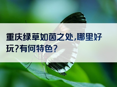 重庆绿草如茵之处，哪里好玩？有何特色？