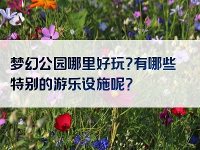 梦幻公园哪里好玩？有哪些特别的游乐设施呢？
