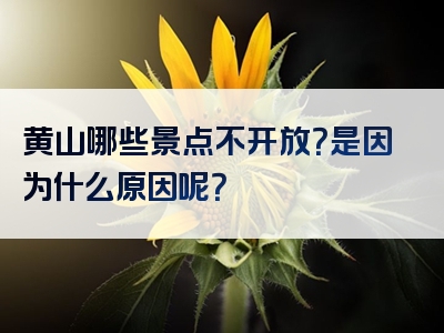 黄山哪些景点不开放？是因为什么原因呢？