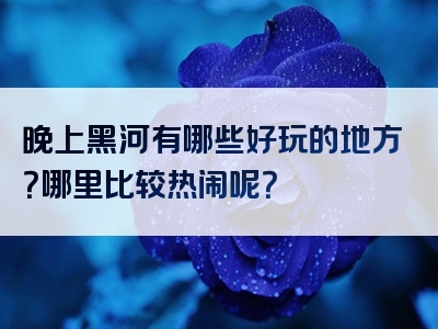 晚上黑河有哪些好玩的地方？哪里比较热闹呢？