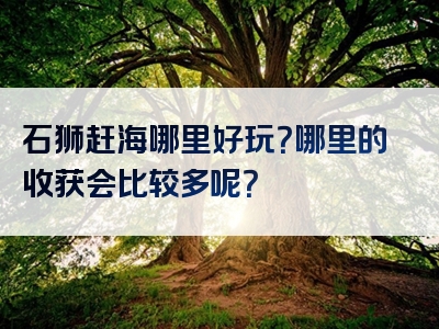 石狮赶海哪里好玩？哪里的收获会比较多呢？