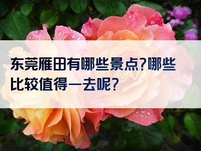 东莞雁田有哪些景点？哪些比较值得一去呢？
