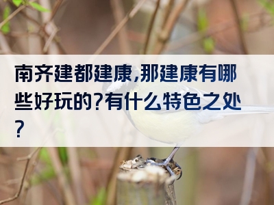 南齐建都建康，那建康有哪些好玩的？有什么特色之处？