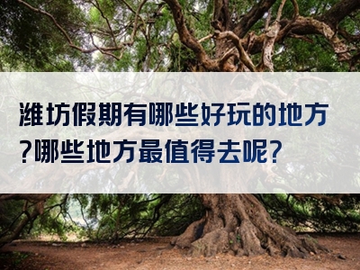 潍坊假期有哪些好玩的地方？哪些地方最值得去呢？