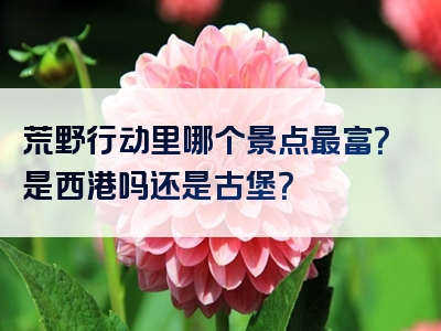 荒野行动里哪个景点最富？是西港吗还是古堡？