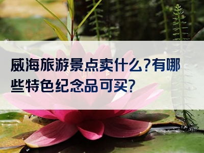 威海旅游景点卖什么？有哪些特色纪念品可买？