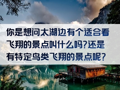 你是想问太湖边有个适合看飞翔的景点叫什么吗？还是有特定鸟类飞翔的景点呢？