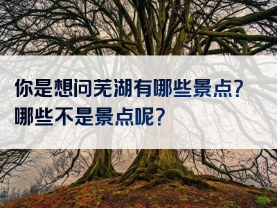 你是想问芜湖有哪些景点？哪些不是景点呢？