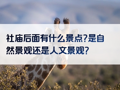 社庙后面有什么景点？是自然景观还是人文景观？