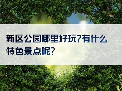 新区公园哪里好玩？有什么特色景点呢？