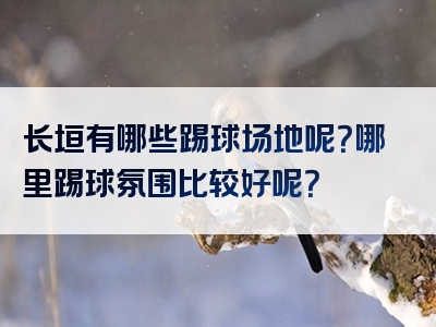 长垣有哪些踢球场地呢？哪里踢球氛围比较好呢？