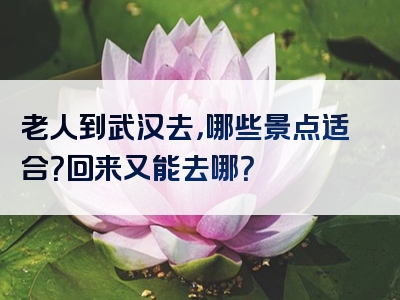 老人到武汉去，哪些景点适合？回来又能去哪？