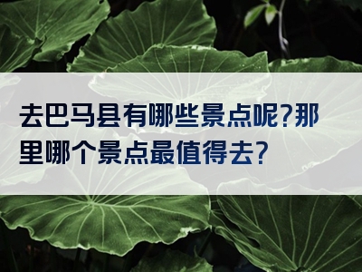 去巴马县有哪些景点呢？那里哪个景点最值得去？