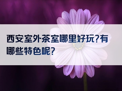 西安室外茶室哪里好玩？有哪些特色呢？