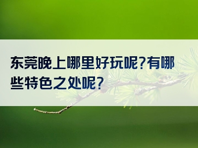 东莞晚上哪里好玩呢？有哪些特色之处呢？
