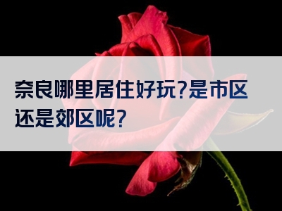 奈良哪里居住好玩？是市区还是郊区呢？