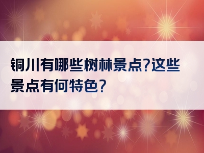 铜川有哪些树林景点？这些景点有何特色？