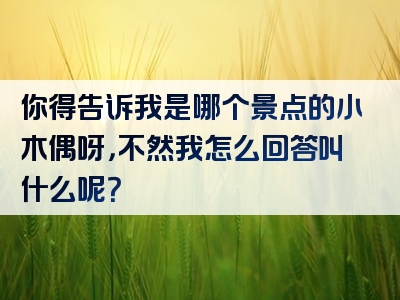 你得告诉我是哪个景点的小木偶呀，不然我怎么回答叫什么呢？