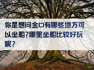 你是想问金口有哪些地方可以坐船？哪里坐船比较好玩呢？