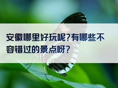 安徽哪里好玩呢？有哪些不容错过的景点呀？