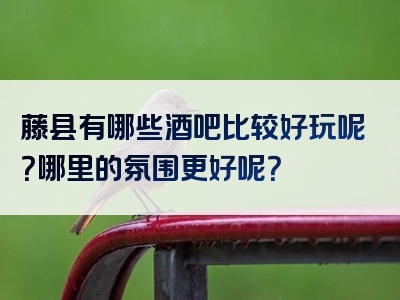 藤县有哪些酒吧比较好玩呢？哪里的氛围更好呢？