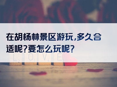 在胡杨林景区游玩，多久合适呢？要怎么玩呢？