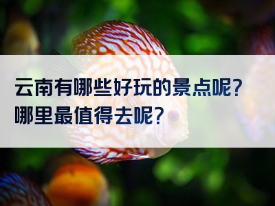 云南有哪些好玩的景点呢？哪里最值得去呢？