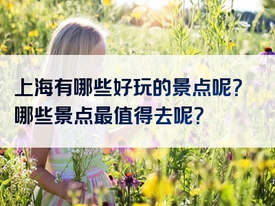 上海有哪些好玩的景点呢？哪些景点最值得去呢？