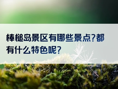 棒槌岛景区有哪些景点？都有什么特色呢？