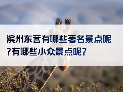 滨州东营有哪些著名景点呢？有哪些小众景点呢？