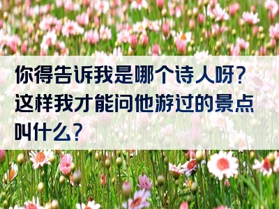 你得告诉我是哪个诗人呀？这样我才能问他游过的景点叫什么？