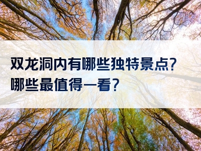 双龙洞内有哪些独特景点？哪些最值得一看？