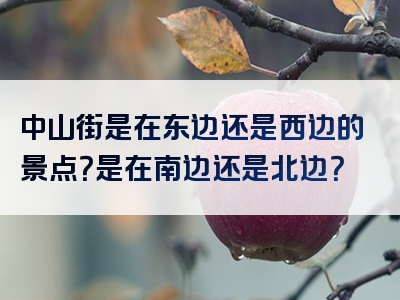 中山街是在东边还是西边的景点？是在南边还是北边？