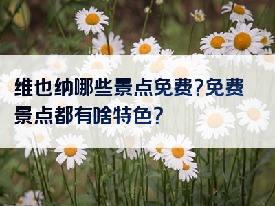 维也纳哪些景点免费？免费景点都有啥特色？