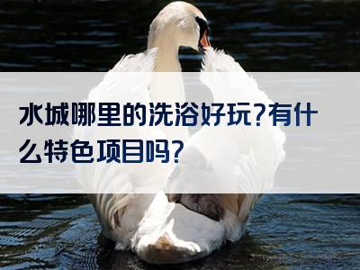 水城哪里的洗浴好玩？有什么特色项目吗？