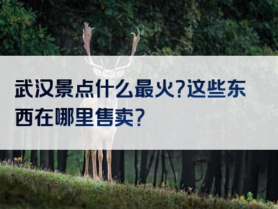 武汉景点什么最火？这些东西在哪里售卖？