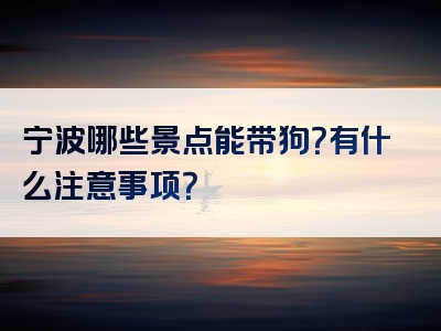 宁波哪些景点能带狗？有什么注意事项？