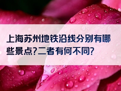 上海苏州地铁沿线分别有哪些景点？二者有何不同？