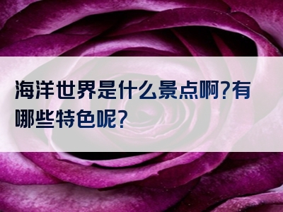 海洋世界是什么景点啊？有哪些特色呢？