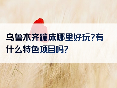 乌鲁木齐蹦床哪里好玩？有什么特色项目吗？