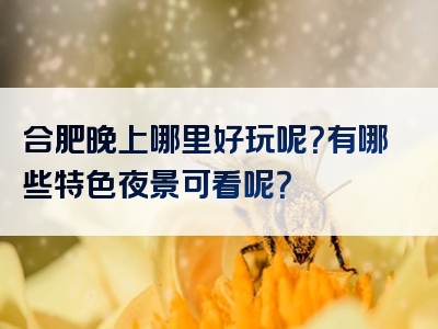 合肥晚上哪里好玩呢？有哪些特色夜景可看呢？