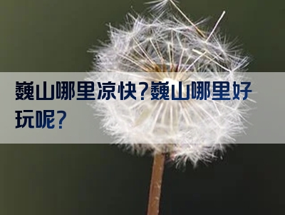 巍山哪里凉快？巍山哪里好玩呢？