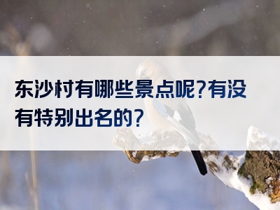 东沙村有哪些景点呢？有没有特别出名的？