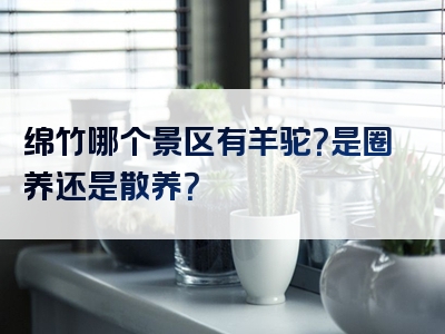 绵竹哪个景区有羊驼？是圈养还是散养？