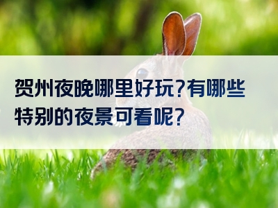 贺州夜晚哪里好玩？有哪些特别的夜景可看呢？
