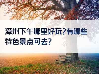 漳州下午哪里好玩？有哪些特色景点可去？